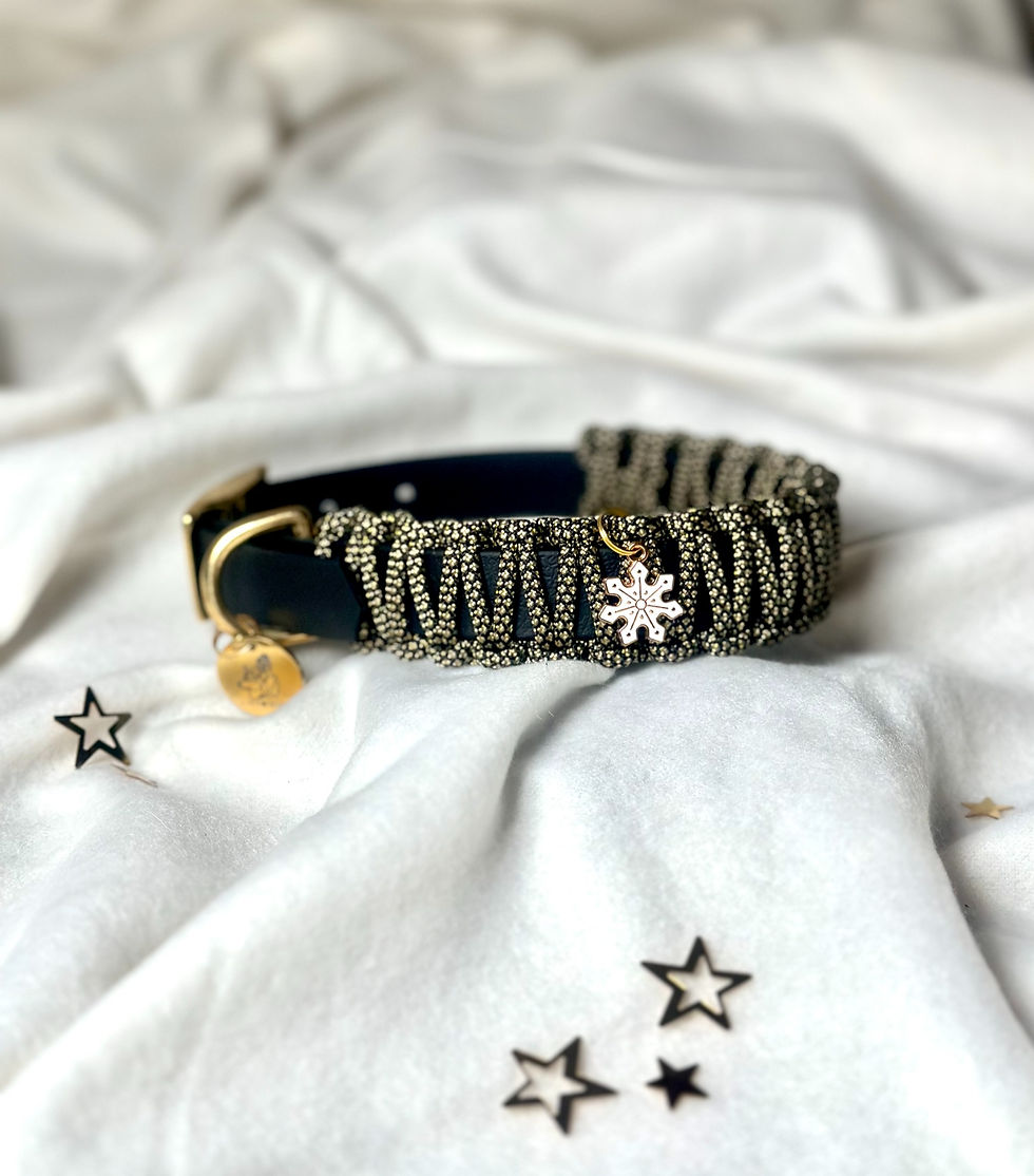 Miniature : COLLIER - LILI (réglable)