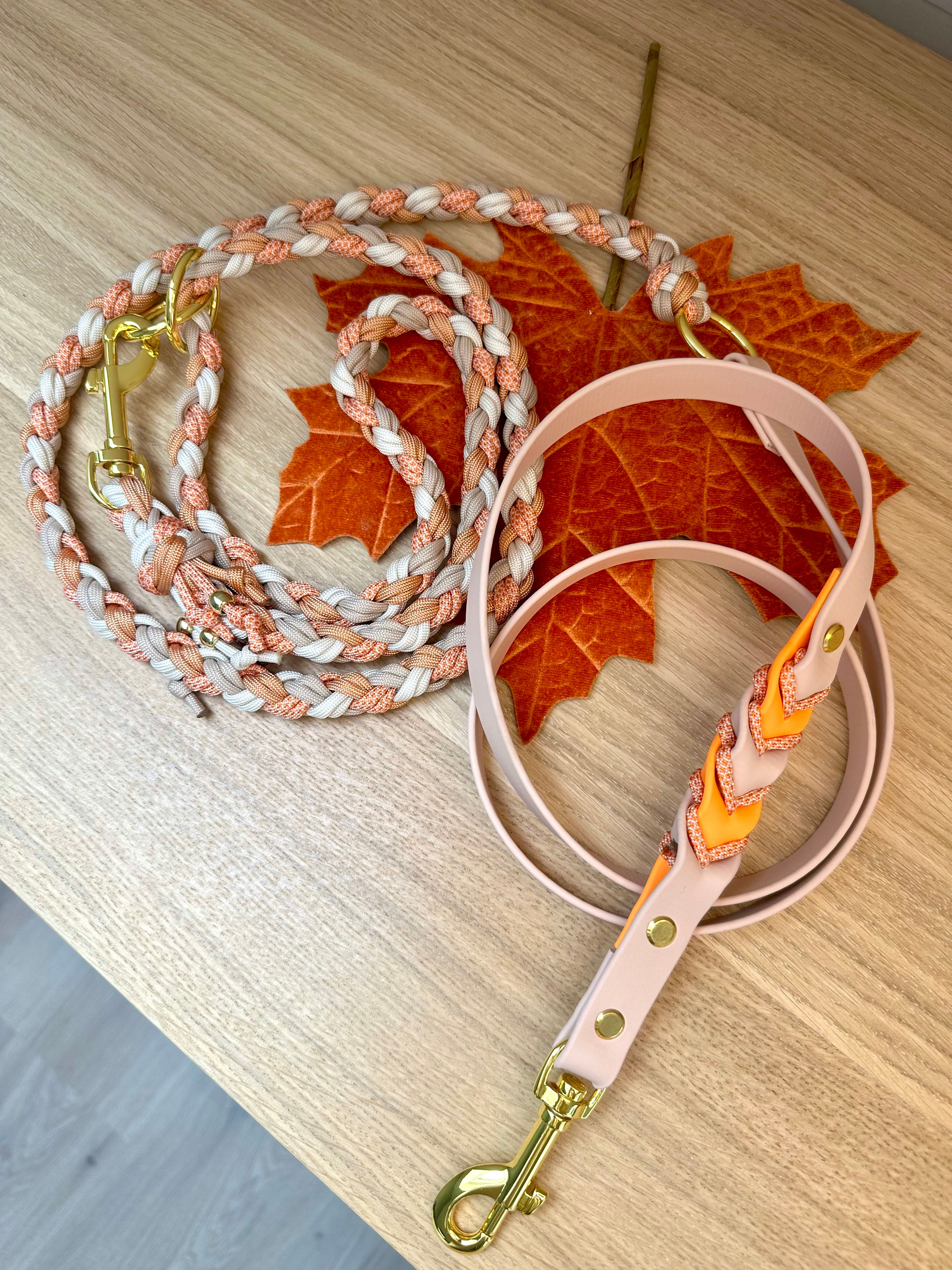 LAISSE - FOX 🧡