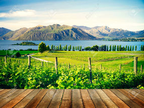 In light and darkness