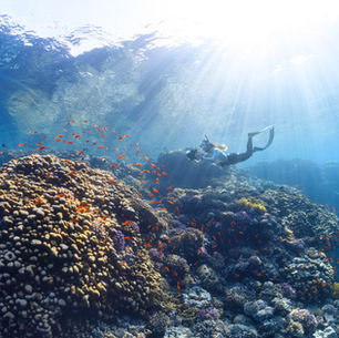 If you feel like something is missing in your life