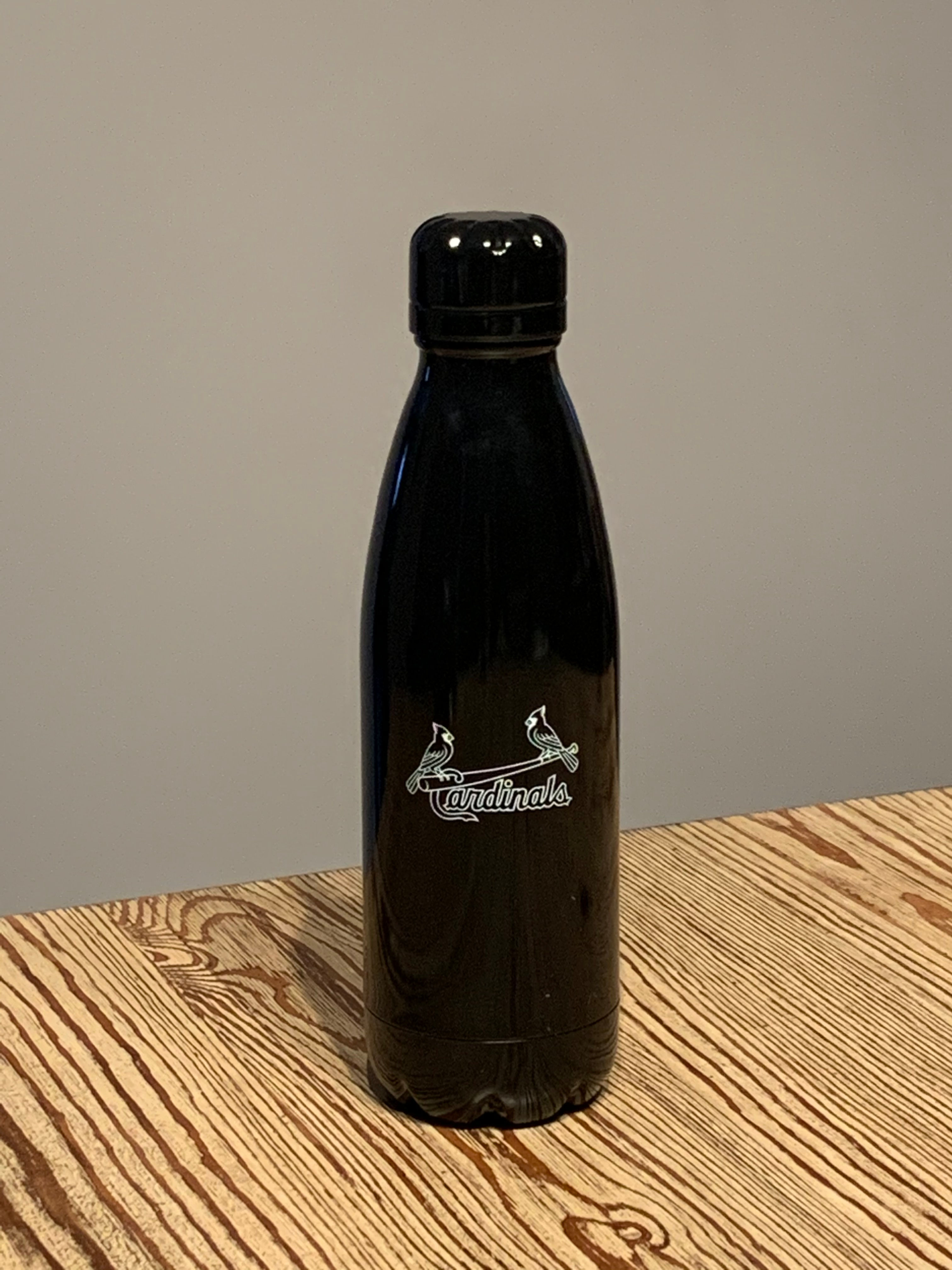 Stainless Steel SAMBA Water Bottle 17oz