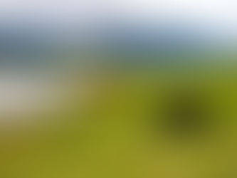 Contentment Despite Disappointment