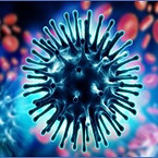 Micro organisms_Bacterium Fungus and Virus.es that cause indoor air pollution