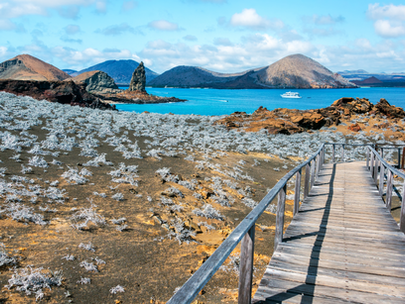 Discovering the Magic of the Galapagos: A Comprehensive Guide to Island Hopping in Ecuador