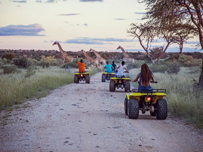 A Guide to Planning Your First Safari Experience