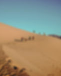 pexels-ethan-strunk-9566149.jpg