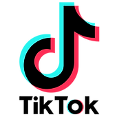 tiktok4.png