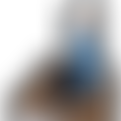 ちょっと変わった仕事（煙突掃除）