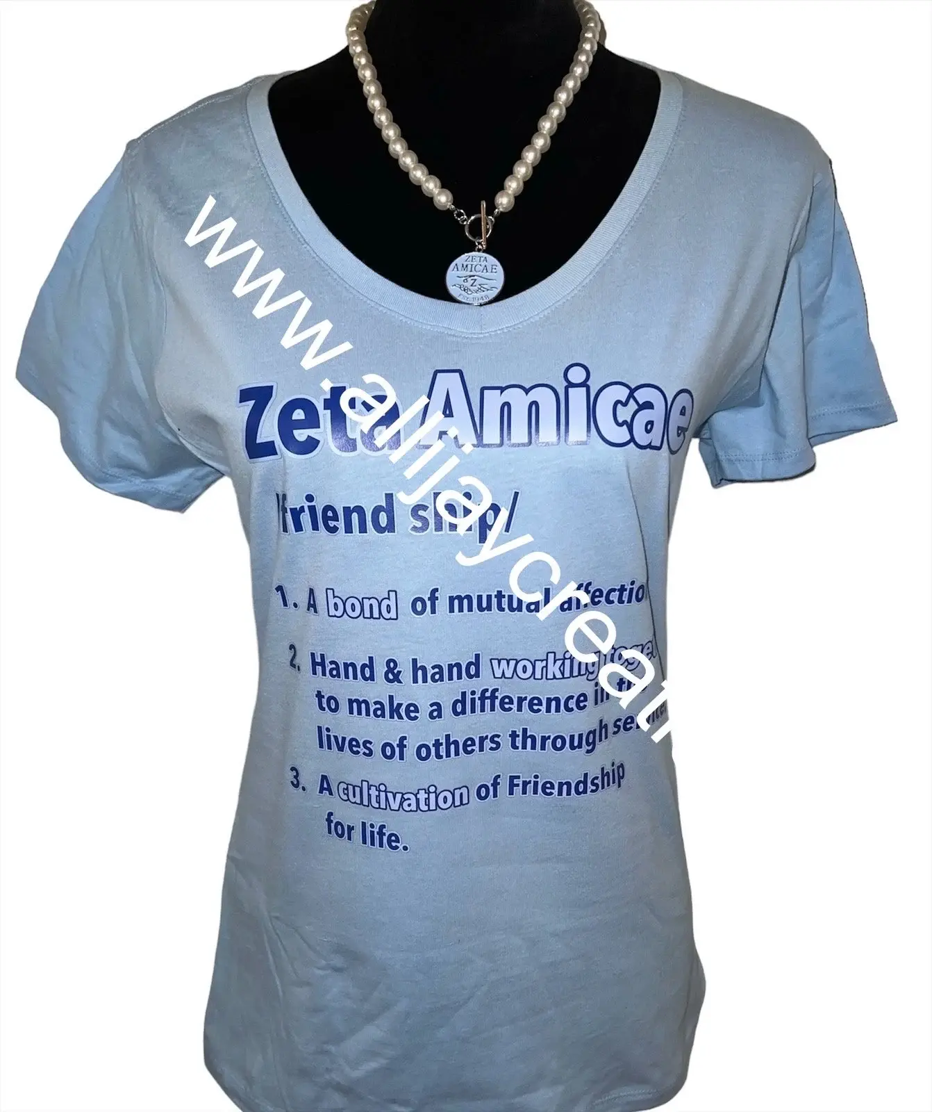 Amicae Friend Definition T-Shirt