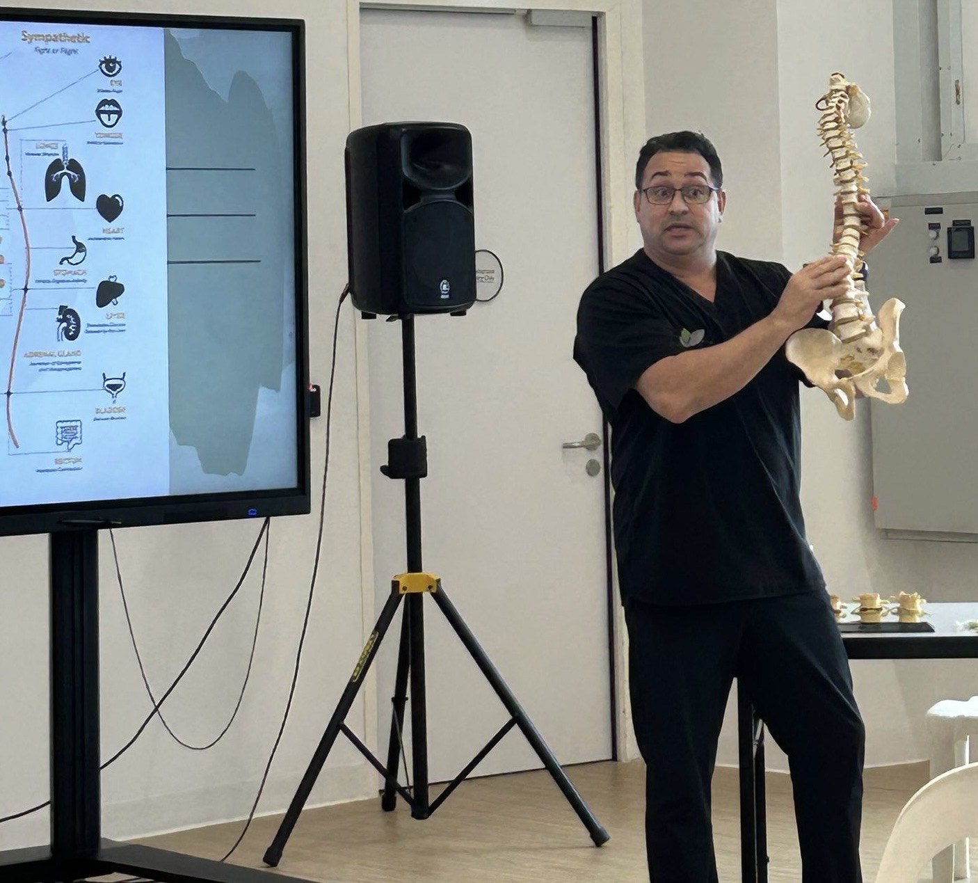 Chiropractor explaining the spine with an anatomical model