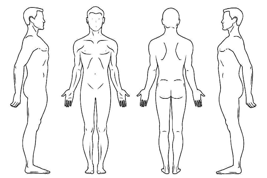Body outlines: side, front, back and side views