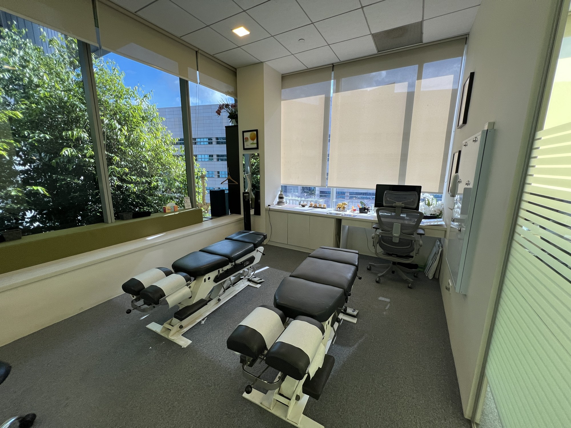 Bright treatment room with garden view, Novena