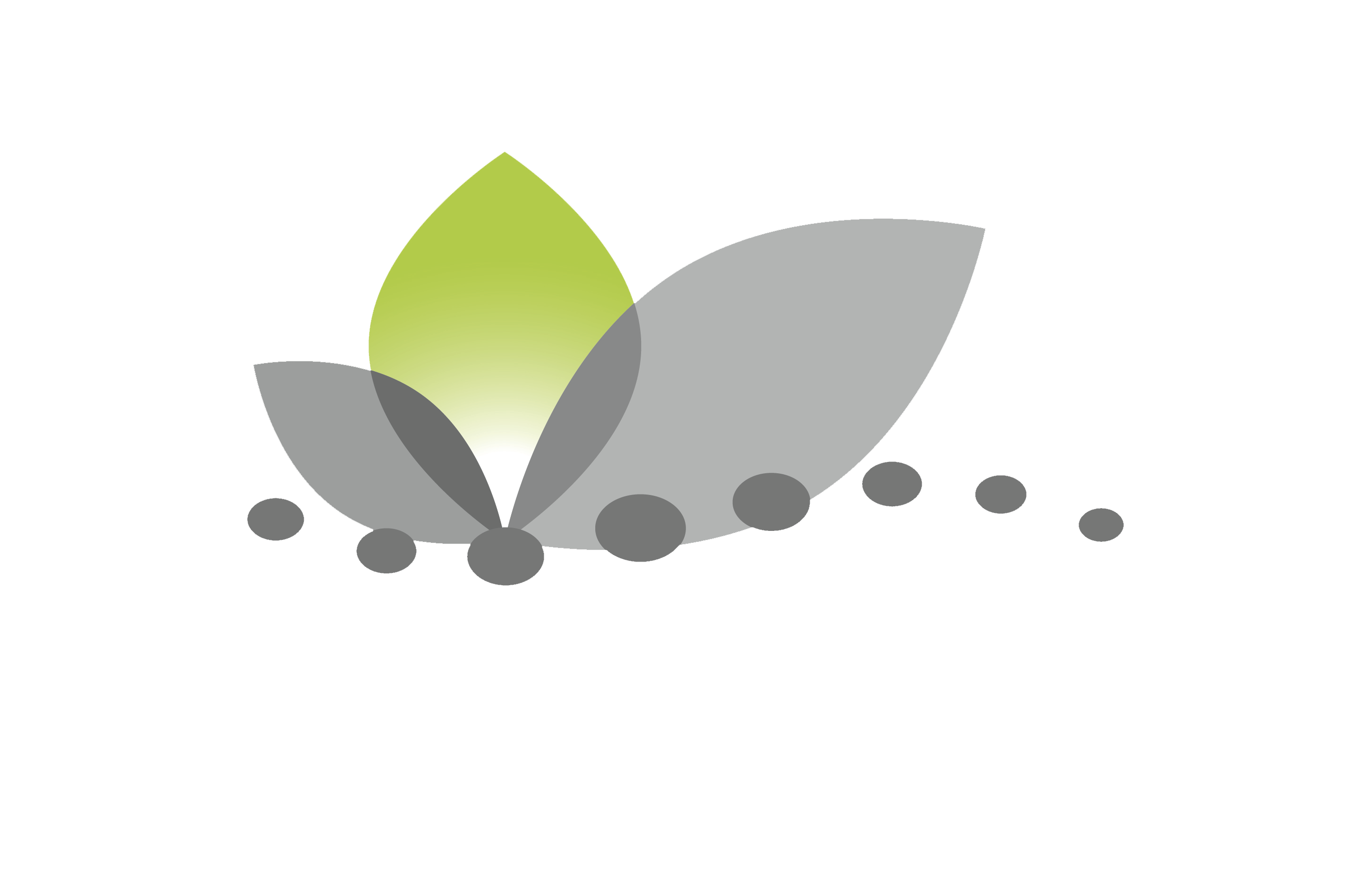 ActiveLife Chiropractic logo