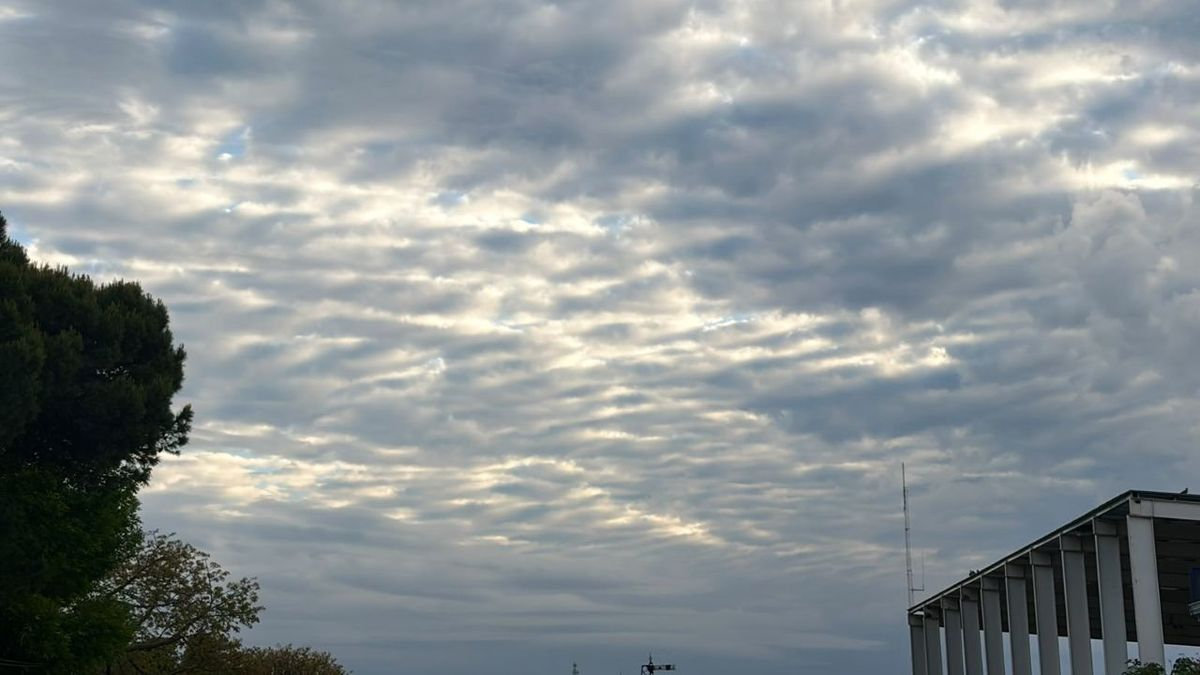 Creciente del Paraná y lluvias irregulares desafían la producción en la región núcleo