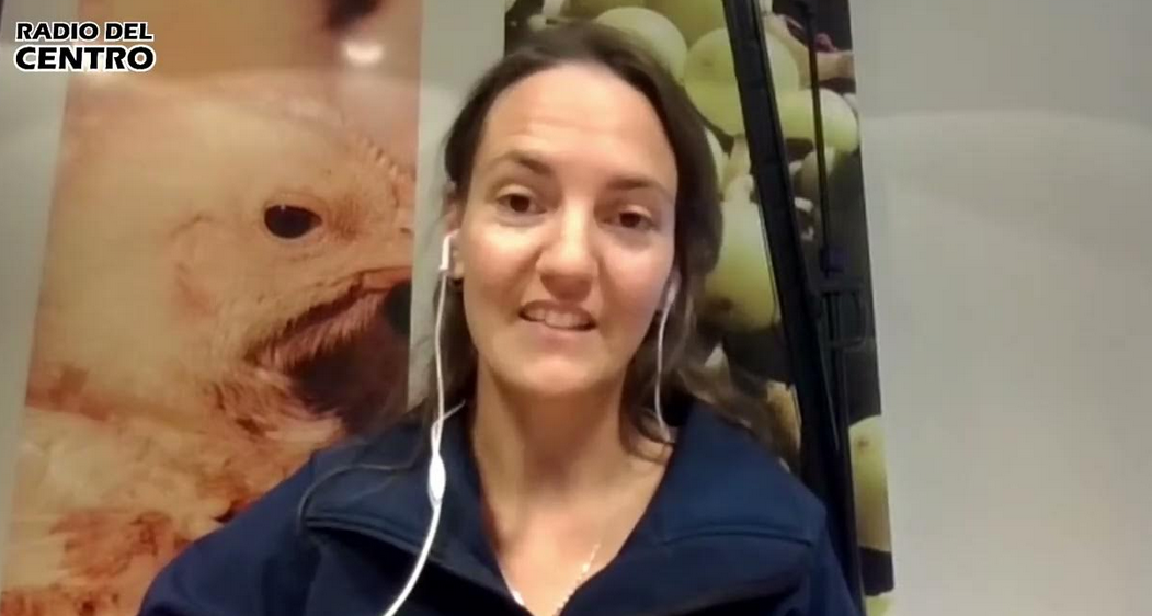 En trigo, la etapa que más daño puede producir “es cuando el cultivo llega a la floración y espigazón, las que denominamos heladas tardías"