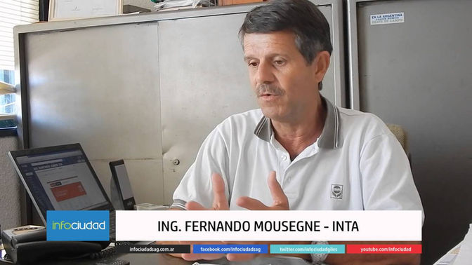 Fernando Mousegne: “En soja las variedades también son una atracción”