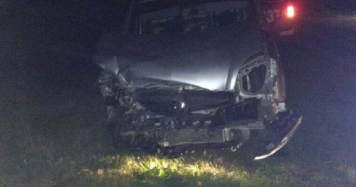 Junín: un porcino suelto se cruzó en la Ruta 7 y provocó un fuerte choque contra una camioneta