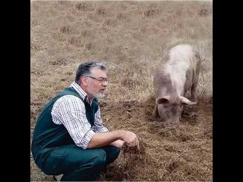 Ariel Cogo
“En Argentina trabajamos el sistema de producción en cama profunda con túneles de viento”