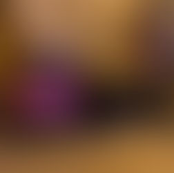 Tres salidas matutinas por incendio en una carpintería y dos vehiculares