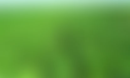 Antonio Martin
“La soja de primera se encuentra con muy buen desarrollo”