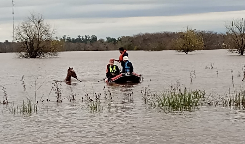 Bomberos de Chivilcoy trabajaron durante el fin de semana en evacuación y rescate en Capilla del Señor.