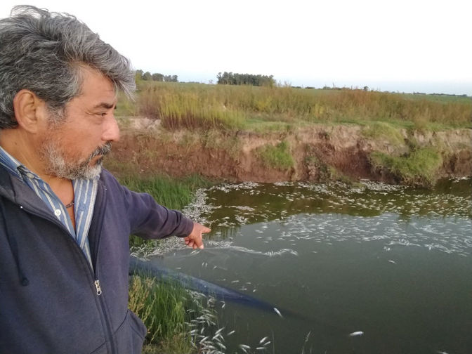 Oscar Di Vicenzi: "Encontramos entre 2000 y 3000 peces muertos”