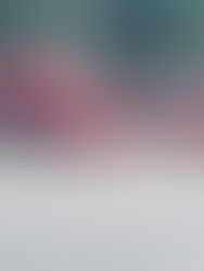 Dos vehículos colisionaron en avenida Urquiza, producto del impacto uno terminó volcando