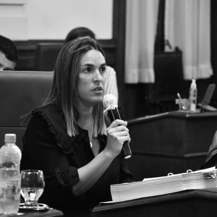 “Será un proyecto que presentaremos a Diputados de diferentes espacios para que puedan gestionarlo”
