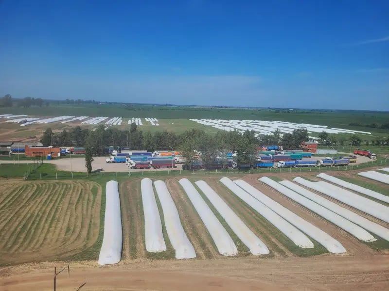 El Congreso debate un proyecto sobre vandalismo rural que suma penas de prisión