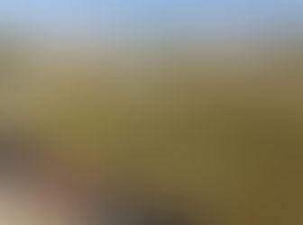 Fútbol
Independiente y Once Tigres primeros; clasificaron: Gimnasia, Moquehuá, San Lorenzo y Huracán