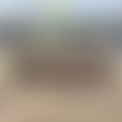 Sin sorpresas en la liguilla: Los cuatro de arriba son los que continúan en el campeonato