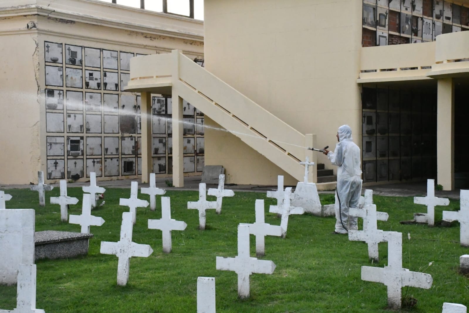 Trabajos de fumigación en el Cementerio Municipal