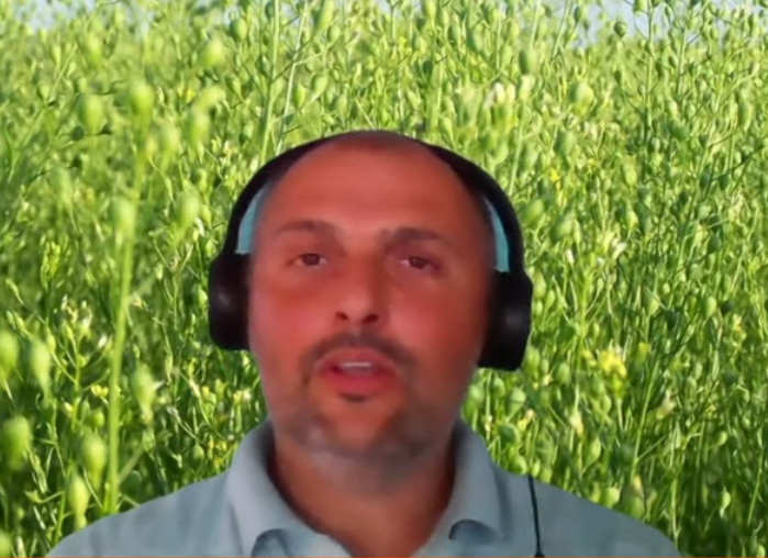 “La homogeneidad de nuestras variedades es excelente y como intermediaria la camelina lo que no quiere hacer es interferir con los cultivos principales”