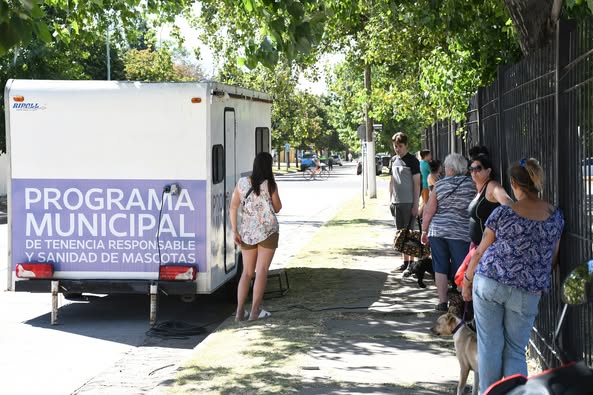 “Necesitamos abordar la problemática y la situación de los perros y gatos callejeros no sólo acercando la esterilización gratuita, sino también información de lo que es la tenencia responsable”