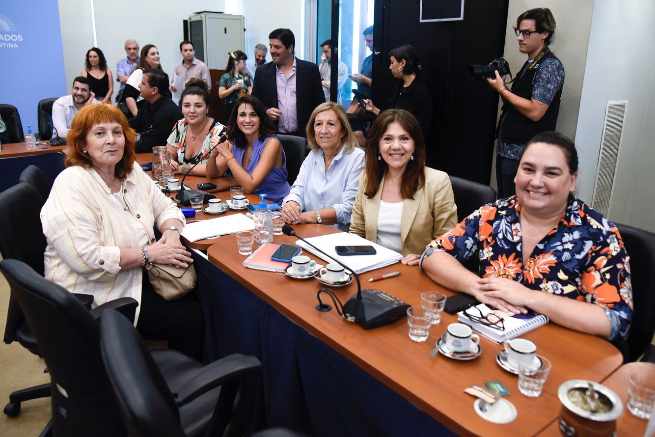 “Necesitamos seriedad para dar las discusiones y sacar leyes que no son para ANSES"