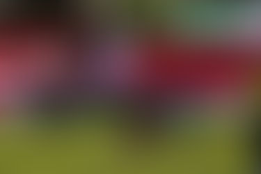 Torneo Federal ‘A’: Olimpo, Douglas Haig y Villa Mitre los únicos que confirmaron posición con vista