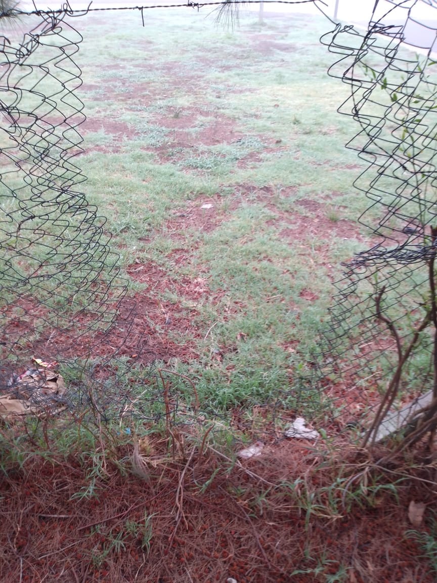 El Parque Cielos del Sur otra vez víctima de vandalismo