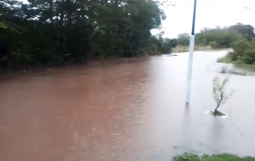Calles anegadas, árboles y postes caídos, cables cortados y graves daños en Emilio Ayarza.