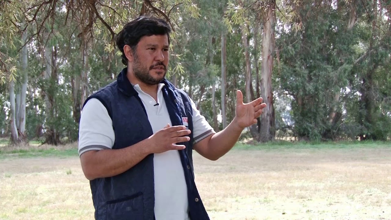 Federico Moreyra
“El cultivo se sostiene en casi 1.000.000 que siempre es bueno para la diversificac