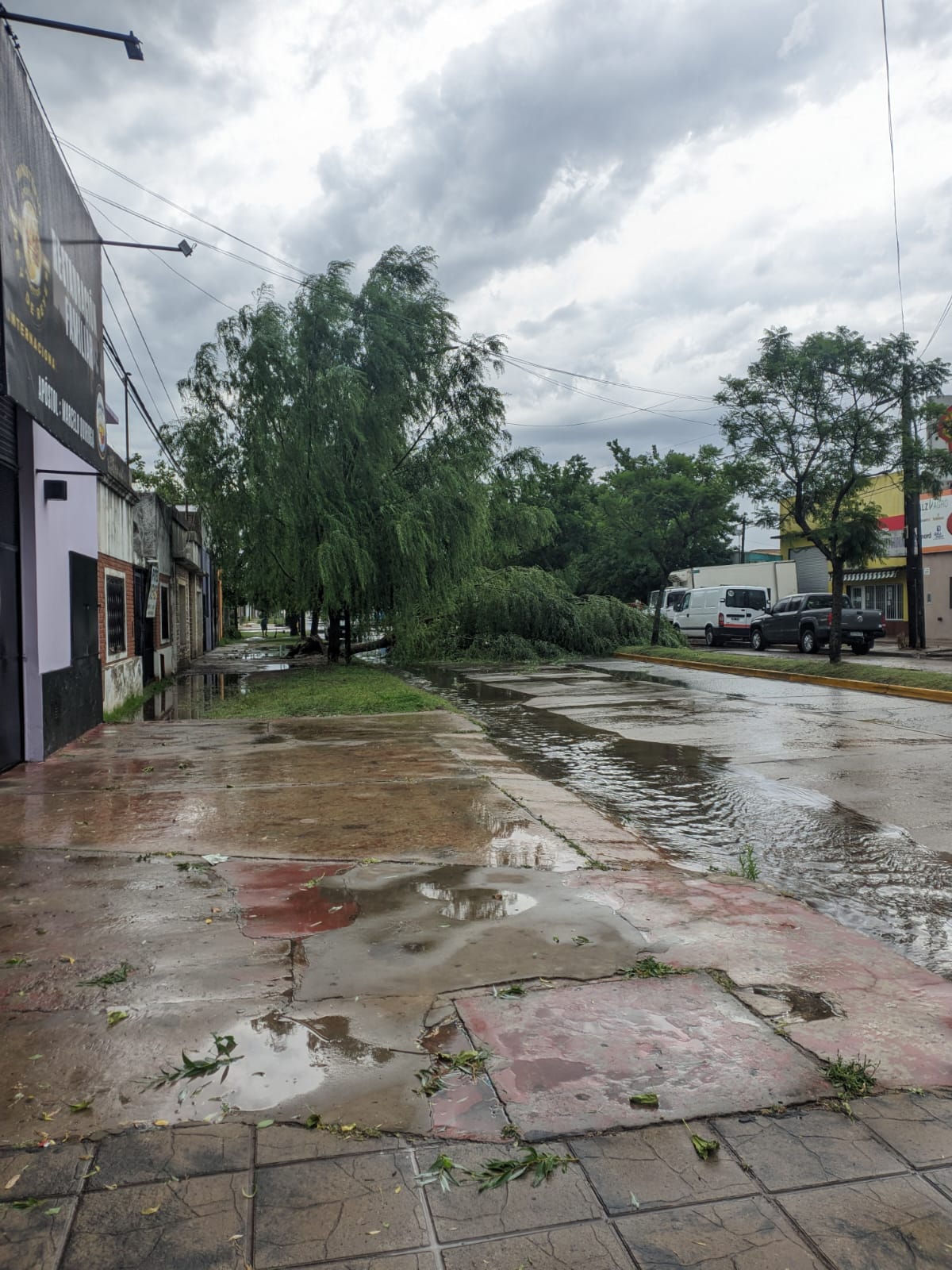 Chivilcoy sintió el impacto del temporal en diferentes barrios de la ciudad con voladura de techos, cables cortados, postes y ramas caídas.