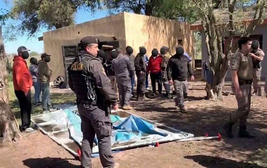 Monte: desbaratan una banda de carreras clandestinas de galgos y rescatan 32 perros