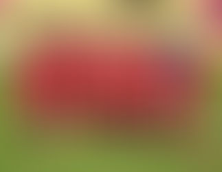 Independiente ya tiene cruce definido y será rival de Gutiérrez de Mendoza