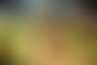 Nueva noche de Carnaval: La disfrutaron los vecinos de Emilio Ayarza