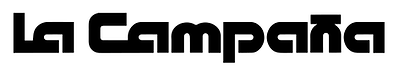 logo diario.png