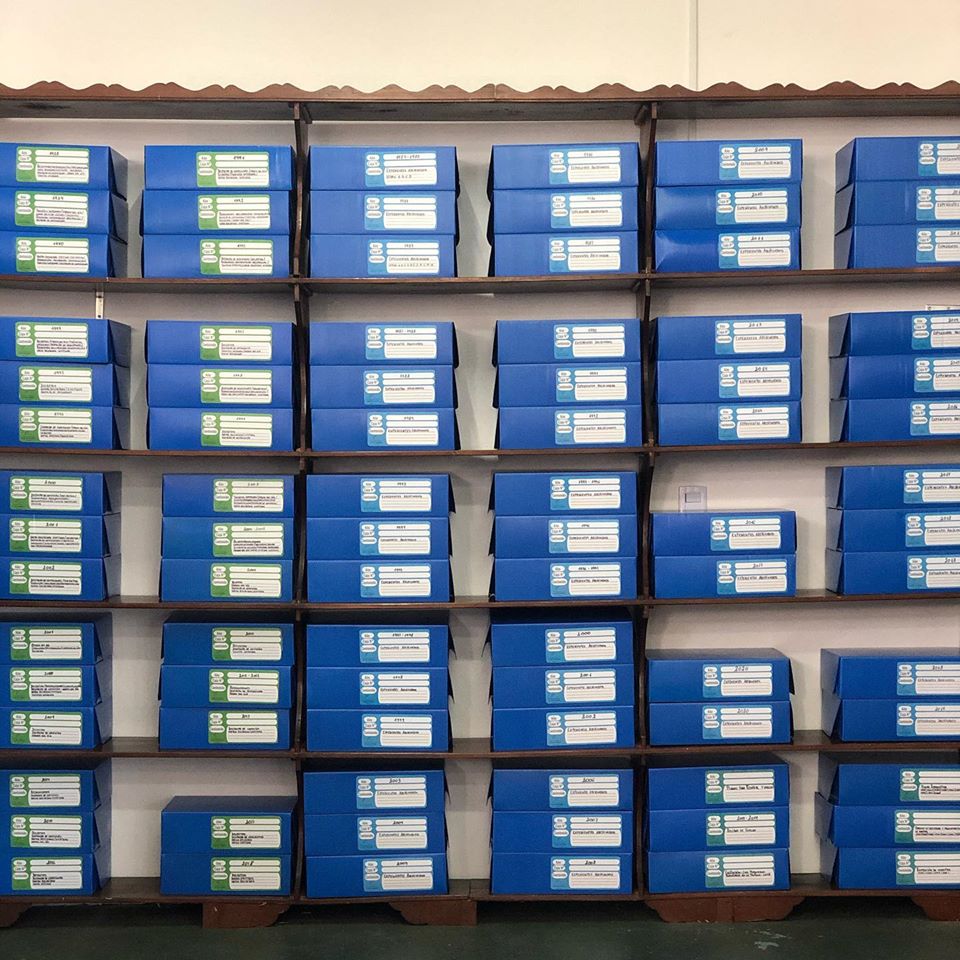 Carla Tomasini
“Tener toda la documentación bajo un único archivo nos permitió comenzar a reconstrui