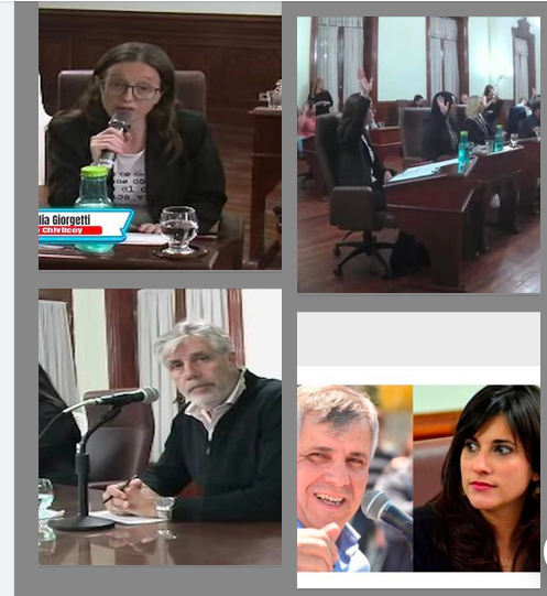 “El Concejo Deliberante aprobó por unanimidad repudiar las declaraciones de nuestro Diputado, en menos de 10 segundos y sin leer el descargo presentado por Falcone”