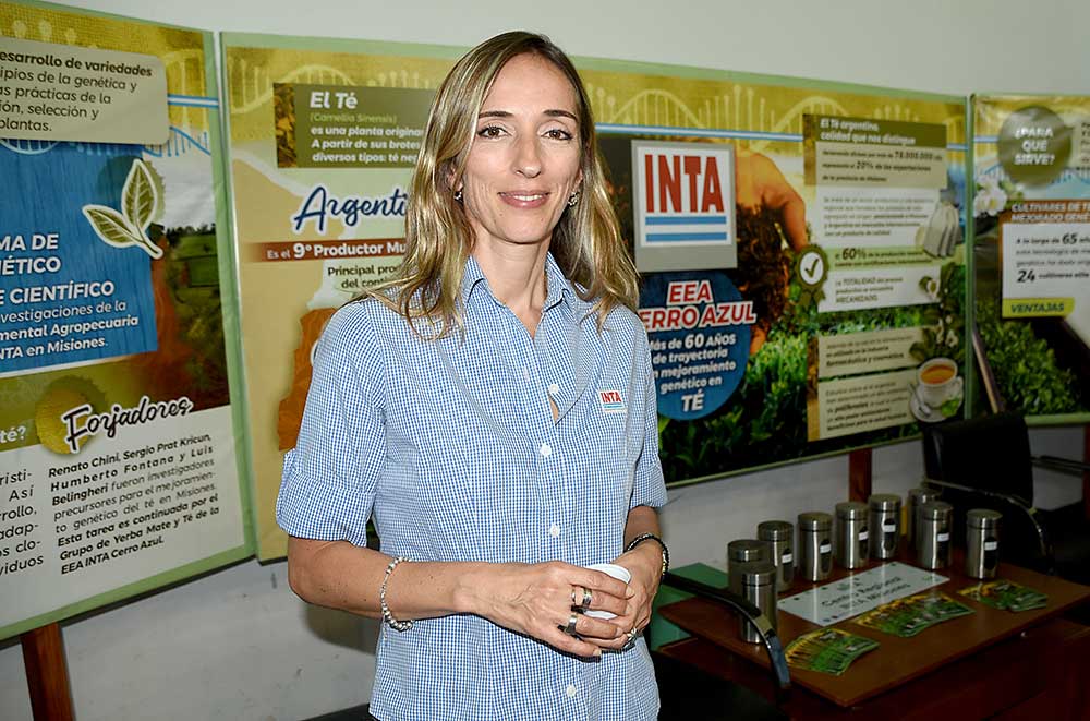 La planta de yerba es muy noble y al ser nativa se encuentra muy bien adaptada a las condiciones del país e incluso tenemos yerbales de 80 hasta 100 años que están en producción