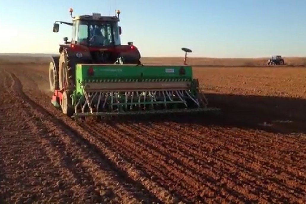 Siembra de Trigo
Las labores de implantación han mantenido ritmo de avance, alcanzando a cubrir el 1