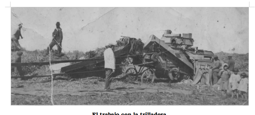 EL CULTIVO DEL TRIGO EN CHIVILCOY (1850-1940) 1ª Parte