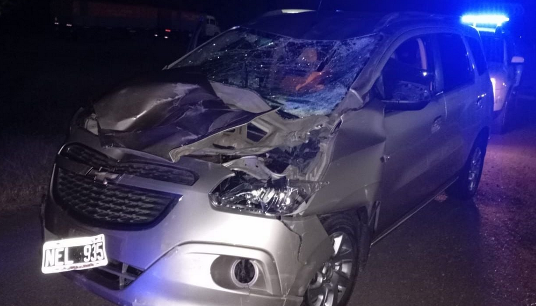 Animales sueltos: un peligro constante en las rutas argentinas con graves consecuencias.